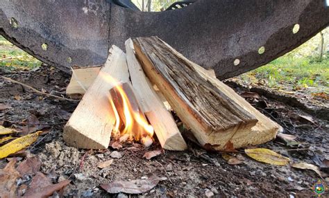 Fire Starter Logs are Easy to Make with Toilet Paper Rolls