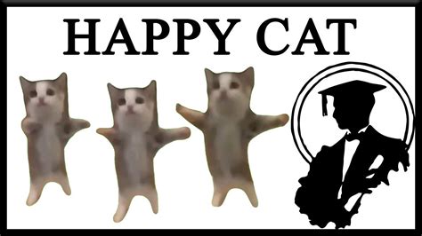 Happy Happy Happy Cat Has Its Own TV Show - YouTube