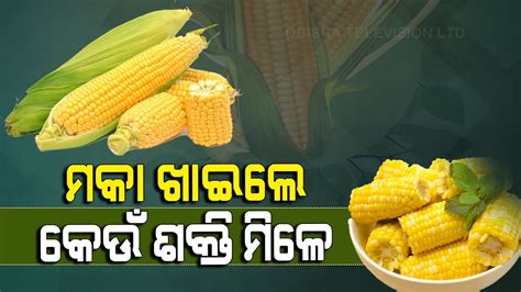 Special Story | Health Benefits Of Maize - YouTube