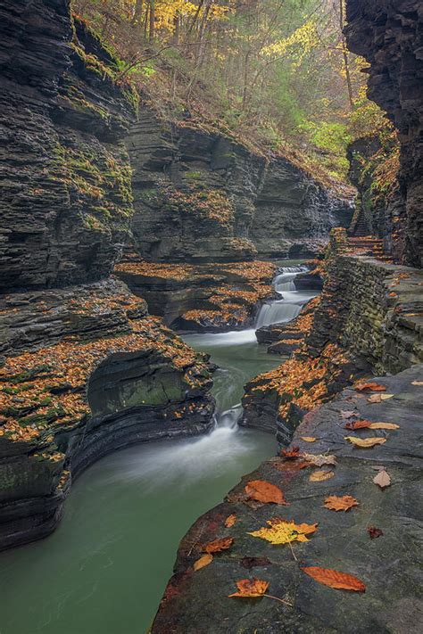 Autumn Leaves at Watkins Glen Photograph by Kristen Wilkinson - Pixels