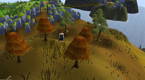 Best Maple Tree Spots in OSRS (F2P + P2P) – FandomSpot