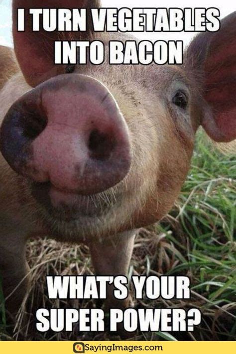 20 Cute Pig Memes That Will Surely Steal Your Heart | Cute pigs, Farm ...