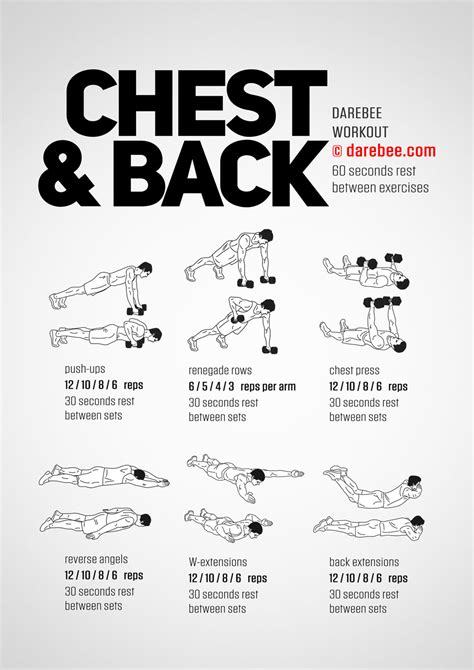 Chest & Back Workout