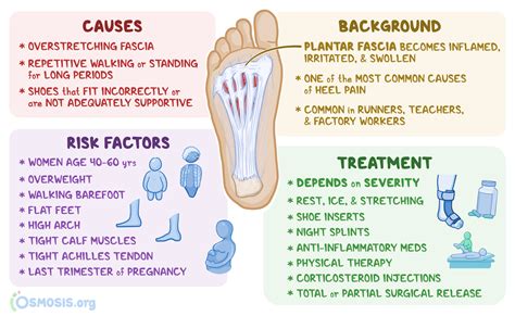 Plantar Fasciitis: What Is It, Symptoms, Treatment, and More | Osmosis