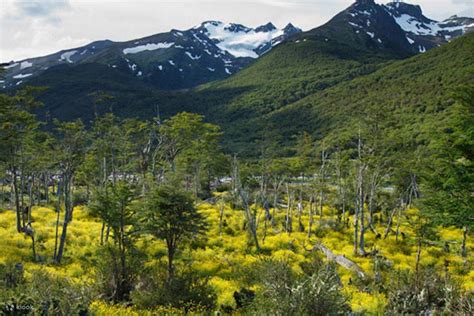 Ushuaia Tierra del Fuego National Park and End of the World Train Join ...