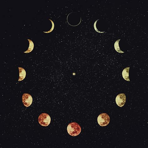 Moon phases Digital Art by PsychoShadow ART - Fine Art America