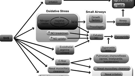 Effects Of Passive Smoking - Effect Choices