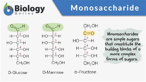 Monosaccharides Structure