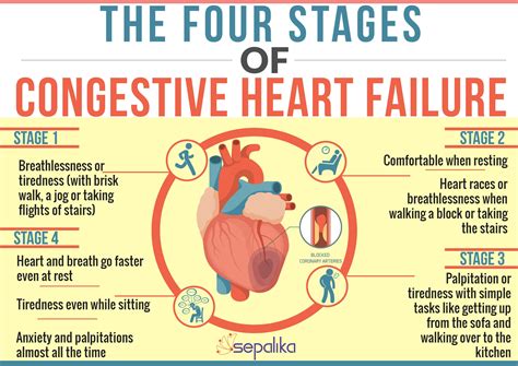 Congestive Heart Failure Stages And Life Expectancy