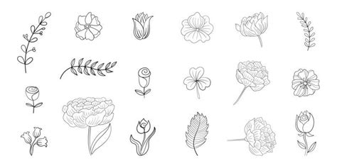 Vector Art Line Drawing Flowers | Best Flower Site