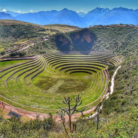 Tours a Cusco y Machu Piccchu - Picchu Travel | South america history ...