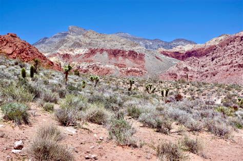 Calico Basin, Red Rock Conservation Area, Southern Nevada, USA Stock ...