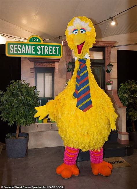 Big Bird costume stolen from Sesame Street circus in Adelaide, leaving ...