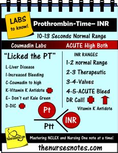 Warfarin antidote - westpatrol