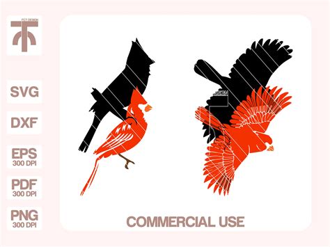 Cardinal Svg Cardinal Clipart Cardinal Bird Svg Cardinal - Etsy