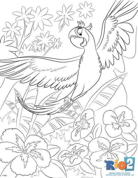 Image - Rio2 printables coloring 7.jpg | Rio Wiki | FANDOM powered by Wikia