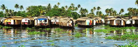 Kochi Backwaters | Things to do in Cochin