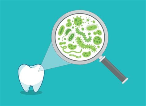 What Bacteria Lives In A Human Mouth? | AP Smilecare | Blackburn