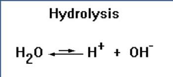 Describe the Role of Water in a Hydrolysis Reaction