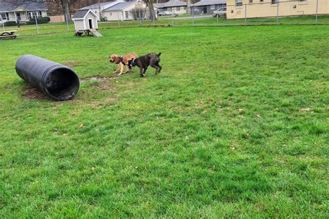 Animal Shelter in Lake County, OH - The County Office