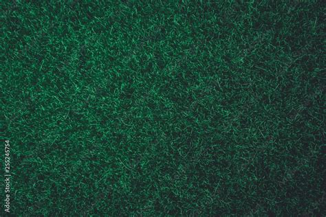 Green grass texture background. nature dark green tone background. Top ...