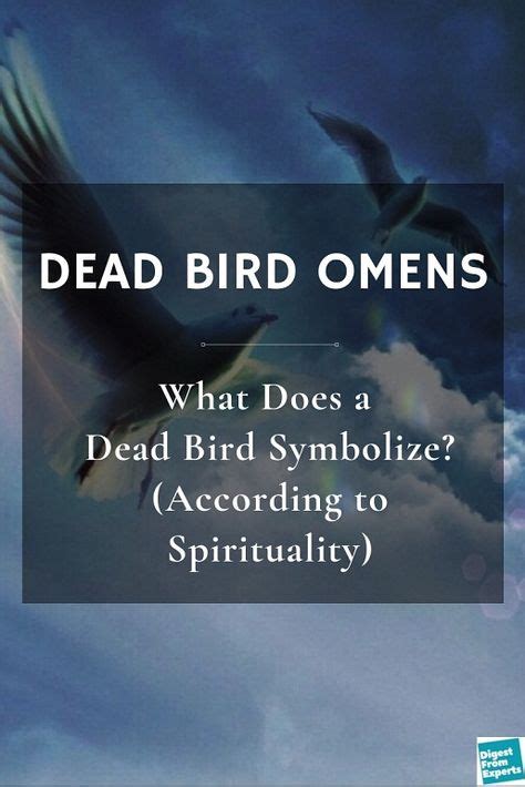 Interpreting The Meaning Of A Dead Bird Dream – DreamsMean