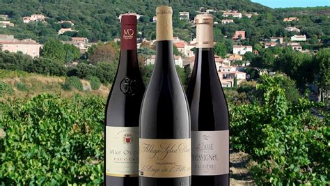 3 Most Popular Languedoc-Roussillon Red Wines - TasteAtlas