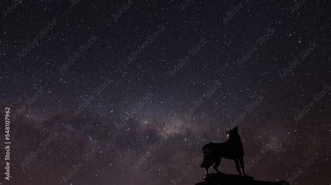 New Zealand Lake Tekapo Milky Way Stock Photo | Adobe Stock