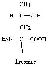 Threonine definition