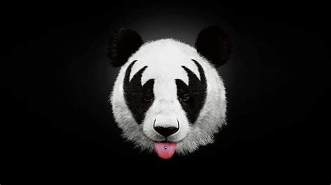 2560x1440 Wallpaper Panda