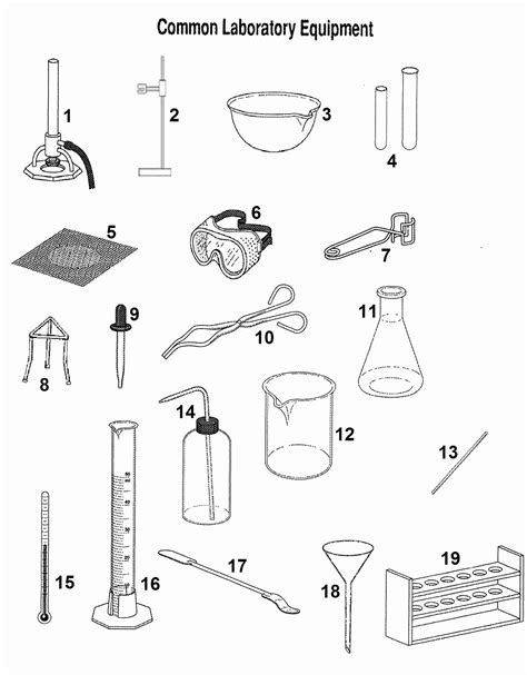 Lab Safety Symbols Worksheet – Imsyaf.com