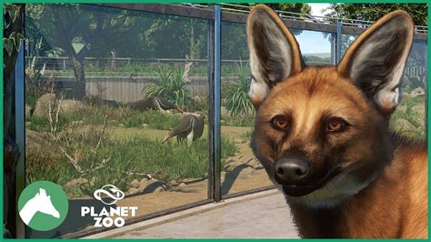 Maned Wolf & Giant Anteater Habitat | Elm Hill City Zoo | Planet Zoo ...