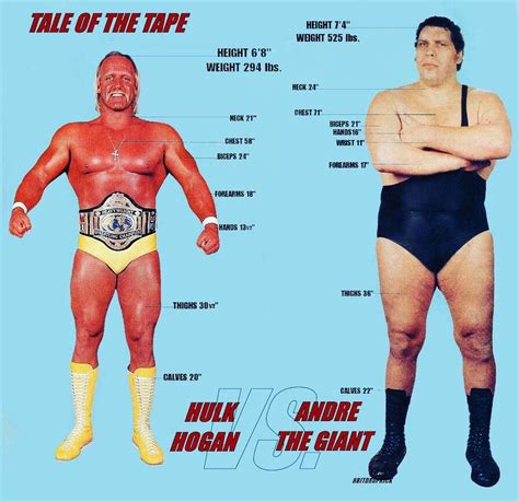 Andre The Giant Vs Hulk Hogan