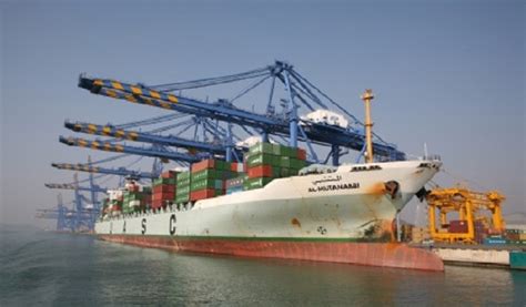 Busan New Port orders a dozen transfer cranes from Doosan - Container News