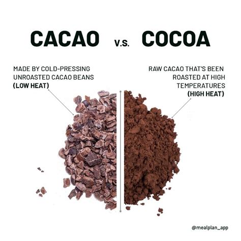 The Kitchen Stories: Cocoa Powder Vs Cacao Powder