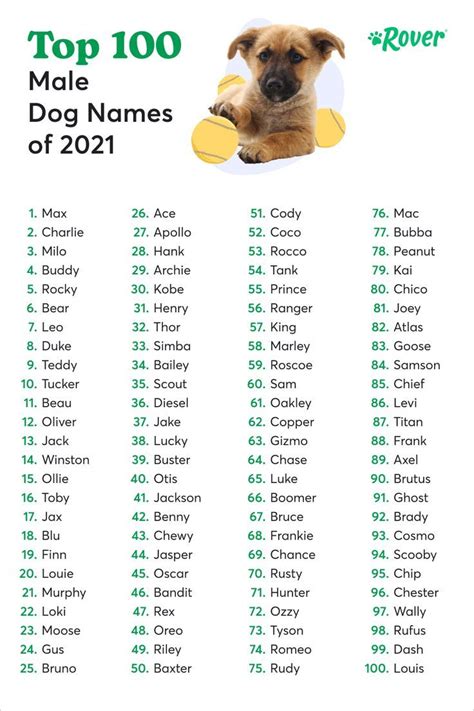 Top 100 Most Popular Dog Names in 2022 | Rover.com | Dog names, Dog ...