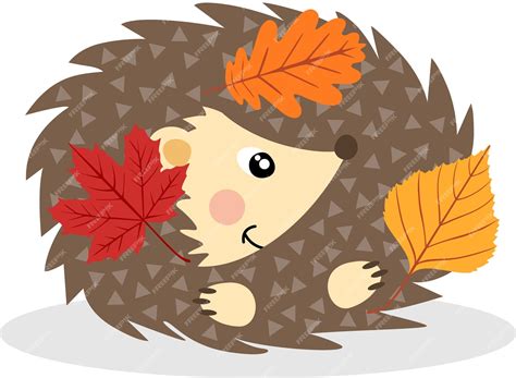 Premium Vector | Autumn hedgehog with fall leaves