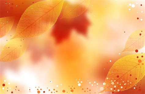 Free Autumn Fall Background