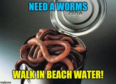 Beach Worm - Imgflip