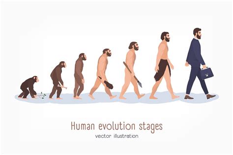 Human evolution stages | Pre-Designed Photoshop Graphics ~ Creative Market