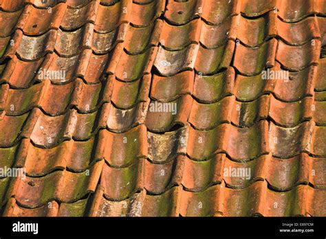 Orange roof pantiles hi-res stock photography and images - Alamy