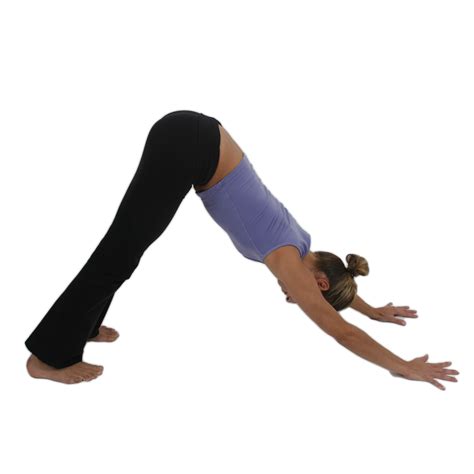 YogaDownload - Online Yoga Pose Guide