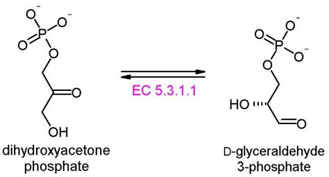 Dihydroxyacetone phosphate - Alchetron, the free social encyclopedia