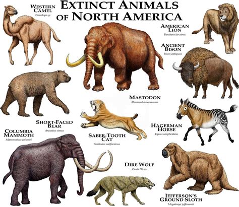 Extinct Mammals of North America Poster Print - Etsy | Extinct animals ...