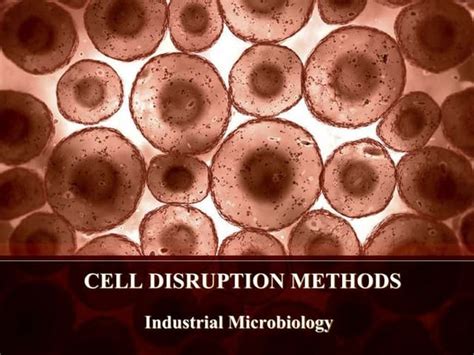 Cell disruption methods | PPT