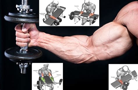 Forearm Flexor Workout