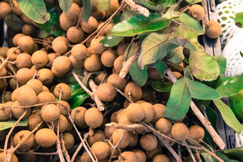 Top 10 Amazing Health Benefits Of Longan