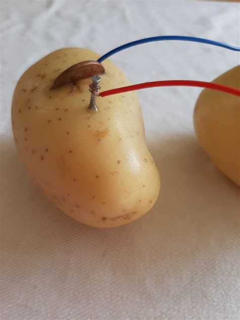 How to make a Potato Powered Light - Science for Kids — Upstart Magazine