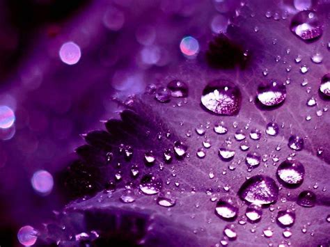 Cute Purple Backgrounds - Wallpaper Cave