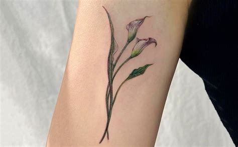 58 Blooming Calla Lily Tattoo Ideas To Rock In 2024